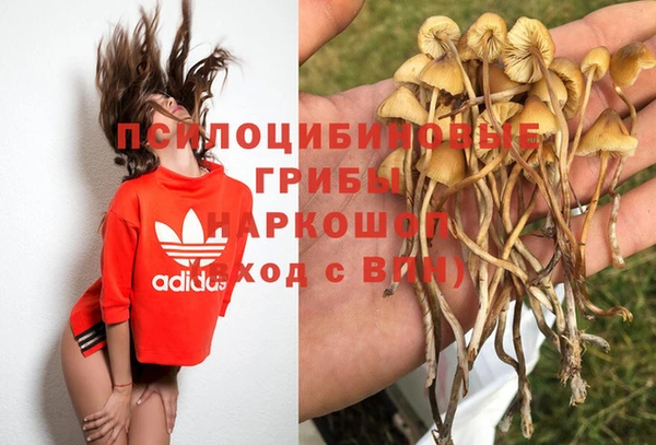 твердый Михайловск