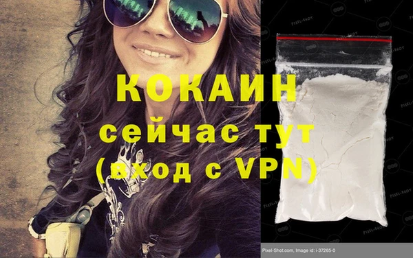 твердый Михайловск