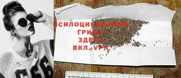 твердый Михайловск