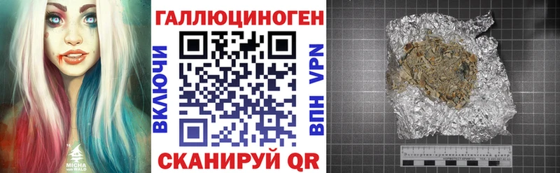 Галлюциногенные грибы Psilocybe  Цивильск 